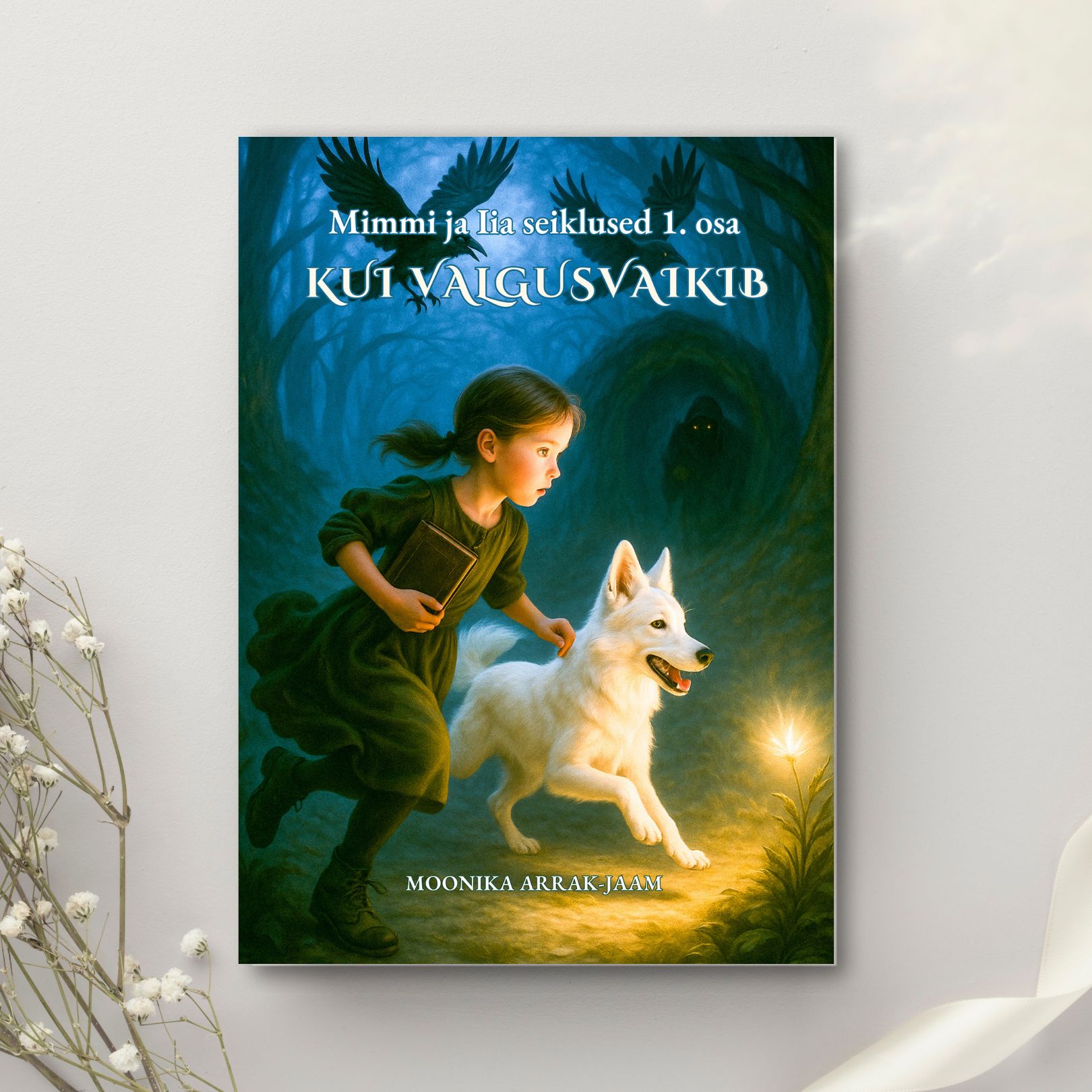 Lasteraamat "Mimmi ja Iia seiklused 1. osa - Kui valgus vaikib"