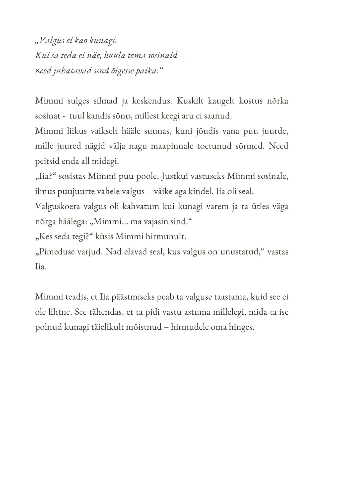 Lasteraamat "Mimmi ja Iia seiklused 1. osa - Kui valgus vaikib" - Image 5